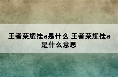 王者荣耀挂a是什么 王者荣耀挂a是什么意思